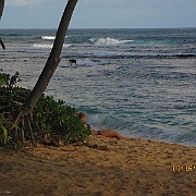 Picture 061